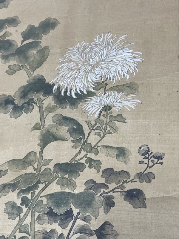 老花卉图一张 - 图3