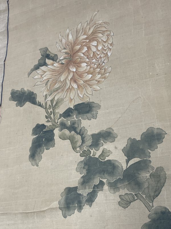 老花卉图一张 - 图4