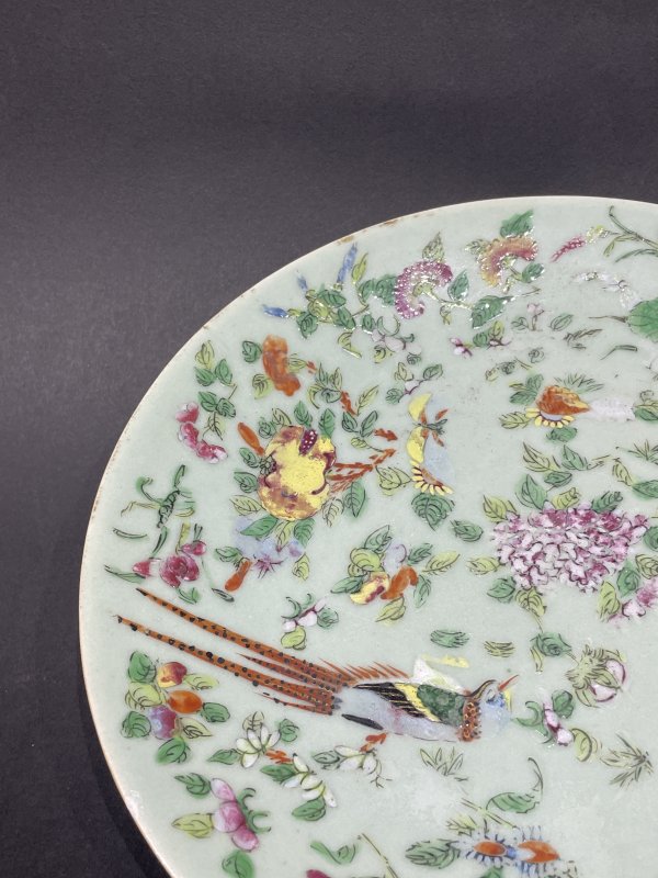 清中期 豆青釉粉彩花鸟纹盘 - 图3