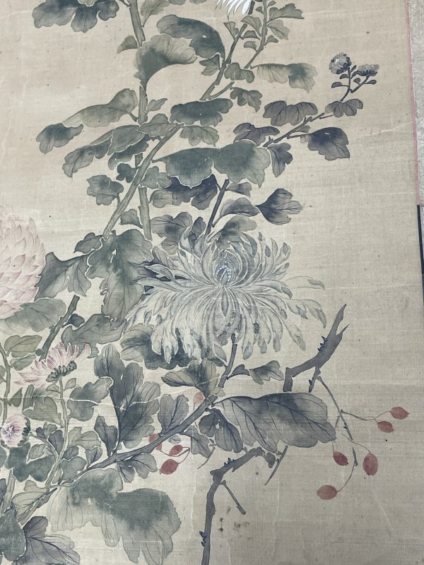 老花卉图一张 - 图5