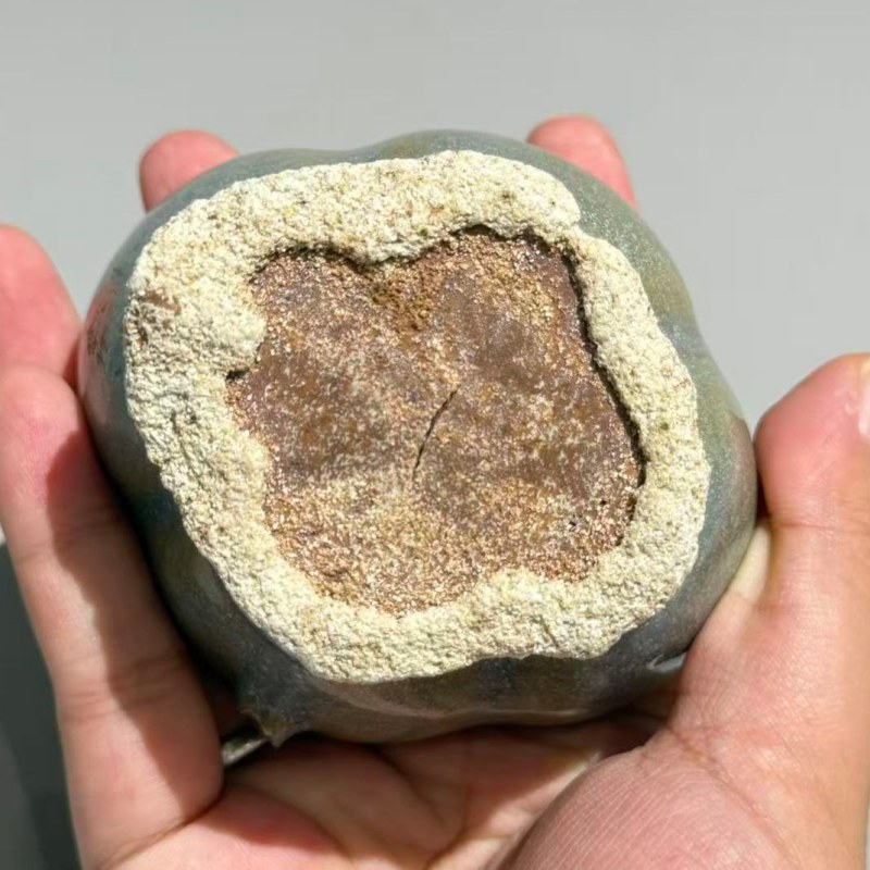 明代 钧窑海棠杯 - 图6