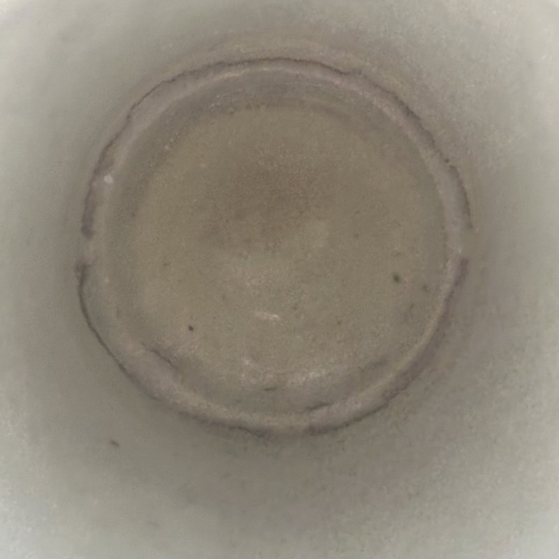 清中期 粉彩花卉纹萝卜瓶 - 图8