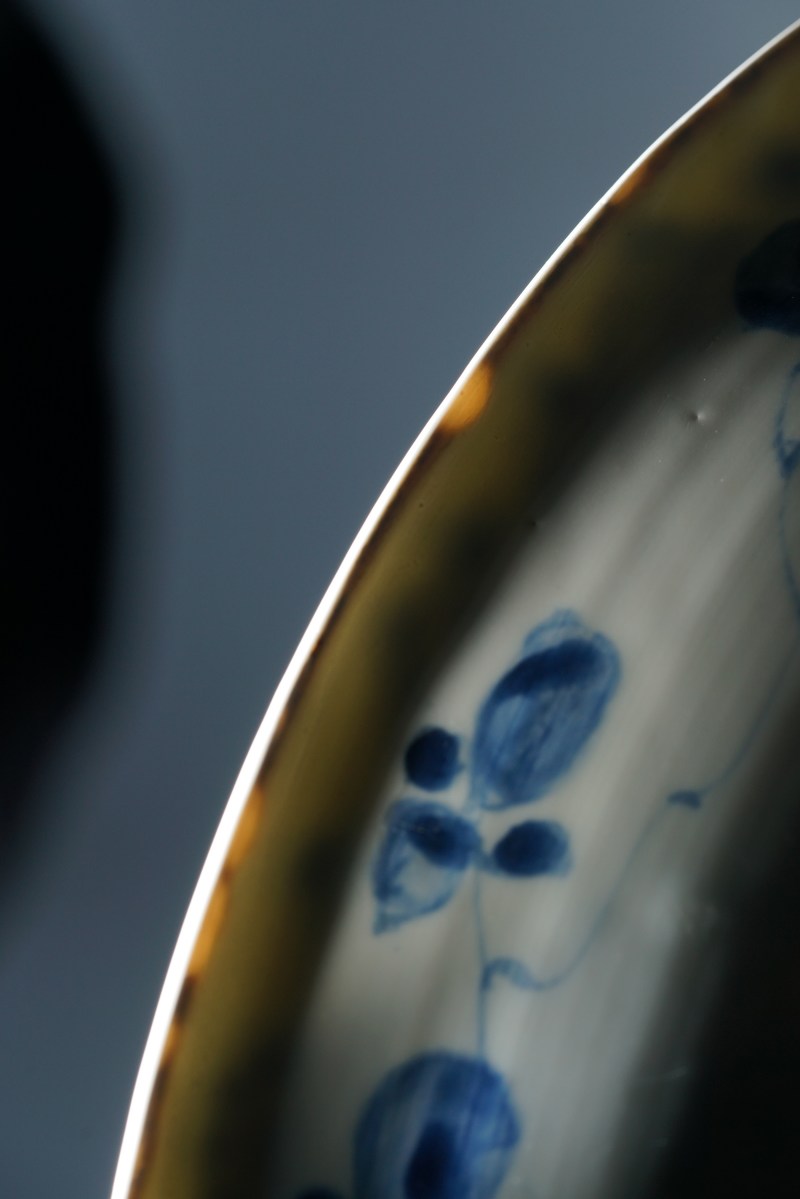 清康熙 青花缠枝牡丹纹大盘 - 图13