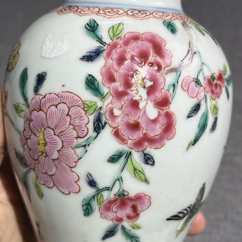 清雍正粉彩花鸟梅瓶 - 图13