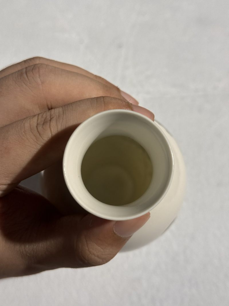 民国 珐琅彩陶渊明爱菊图小瓶 - 图8
