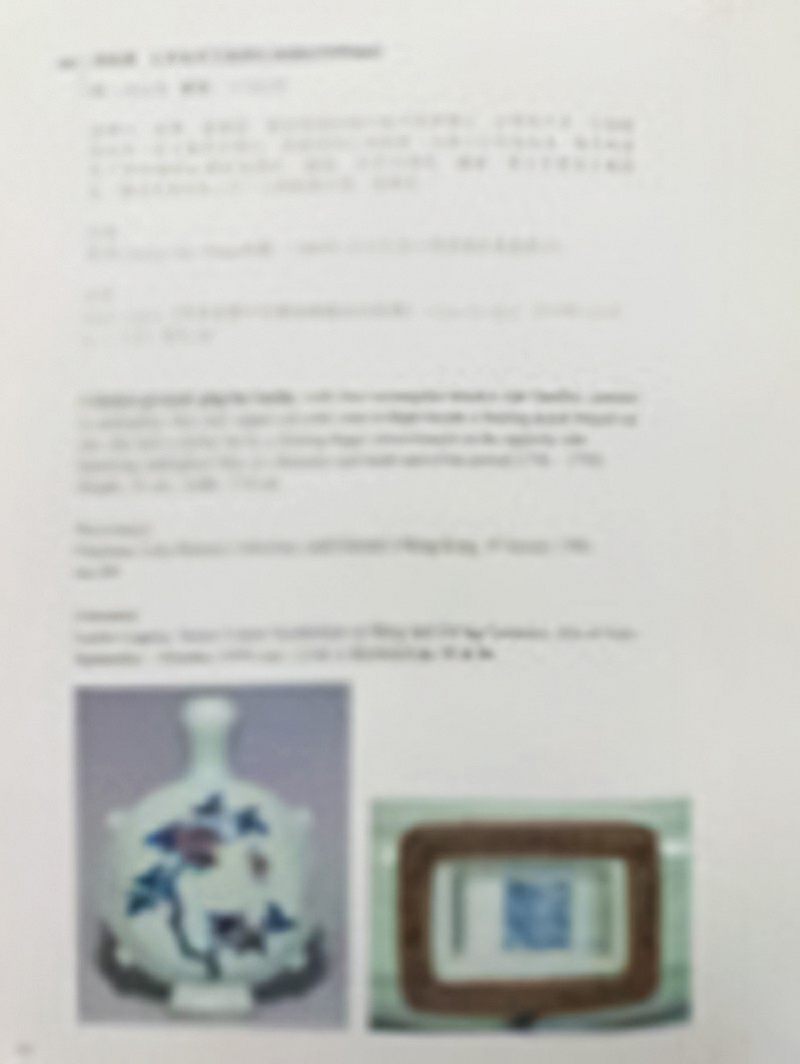 清乾隆 粉青釉青花釉里红折枝花果纹穿带扁瓶 - 图5