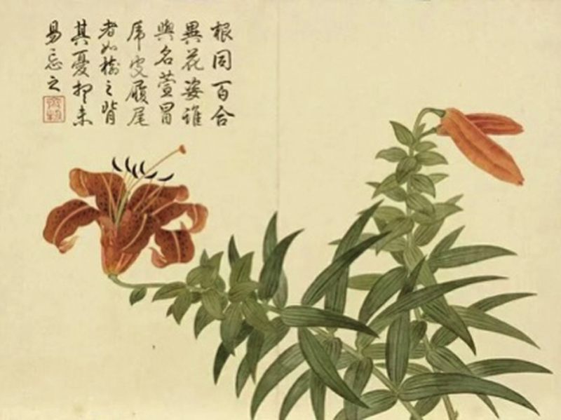 清雍正 白釉暗刻缠枝莲粉彩萱寿延龄图梅瓶 - 图8