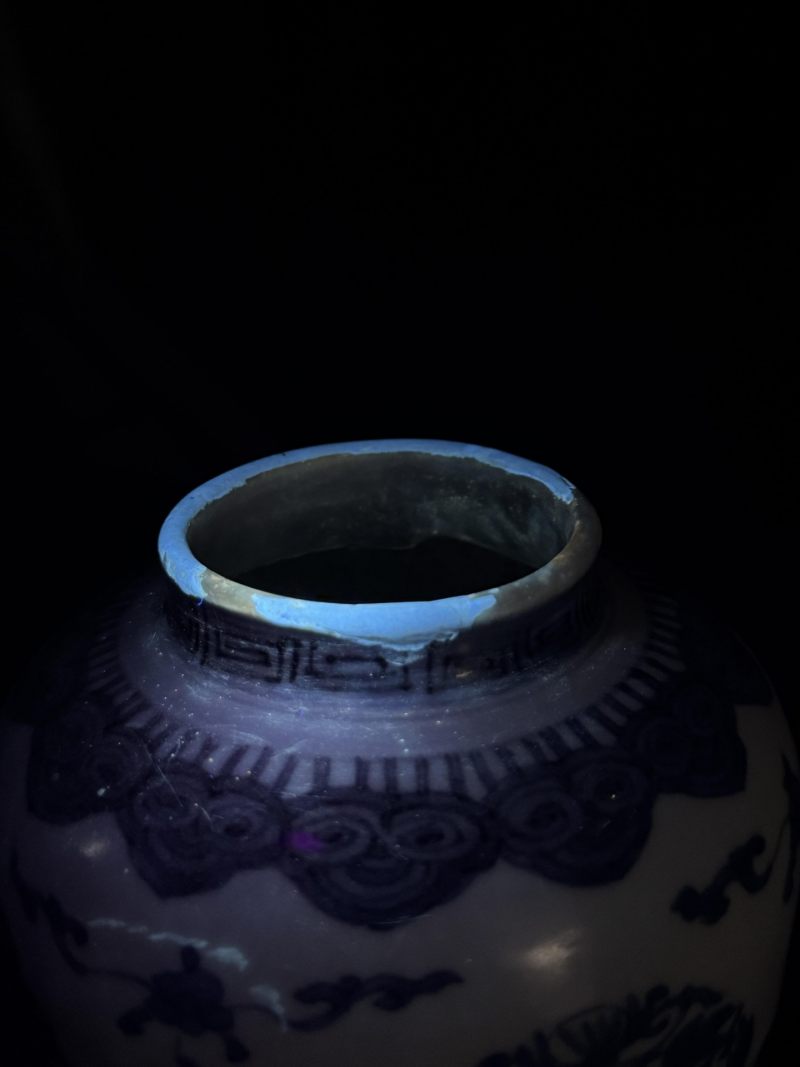    清早期 青花花卉纹罐 - 图14