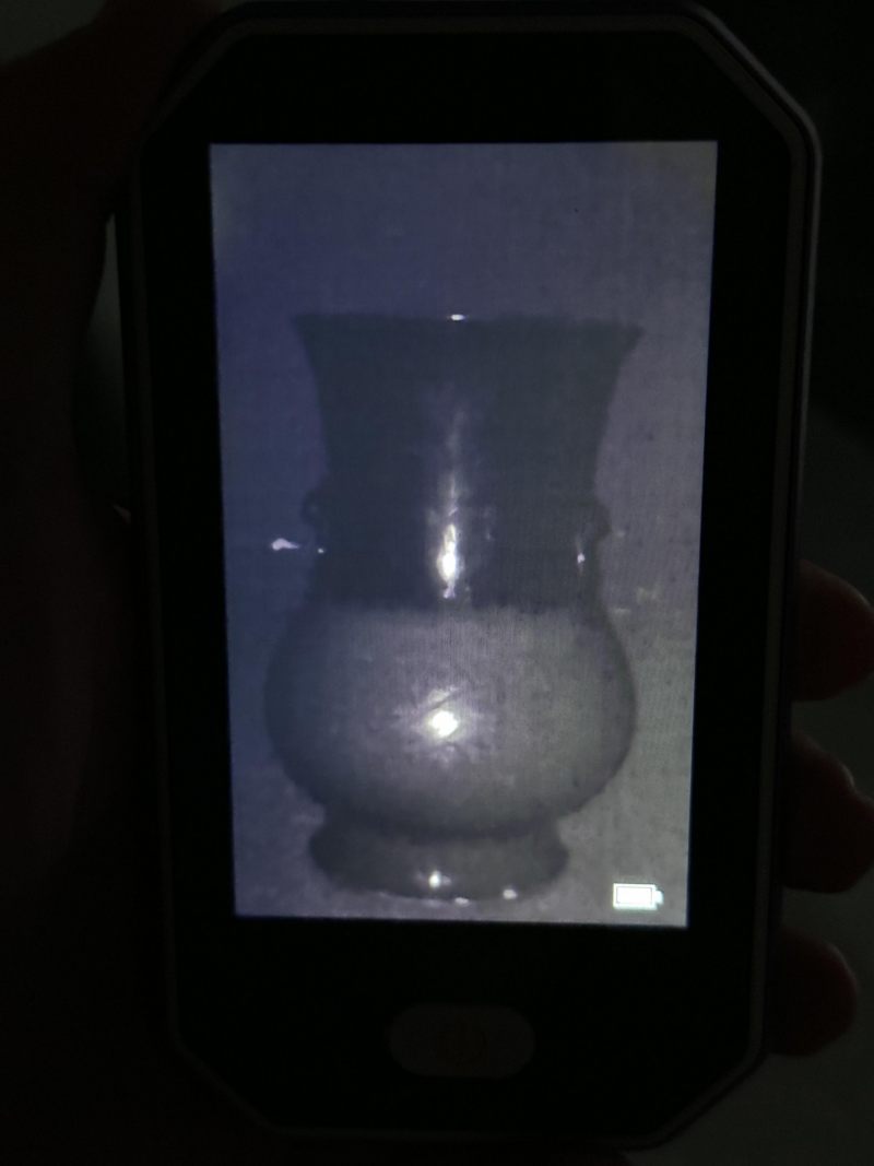    清康熙 青釉暗刻花卉龙纹兽耳尊 - 图11