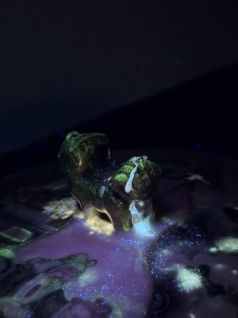   清同治 粉彩十二花神温锅 - 图14