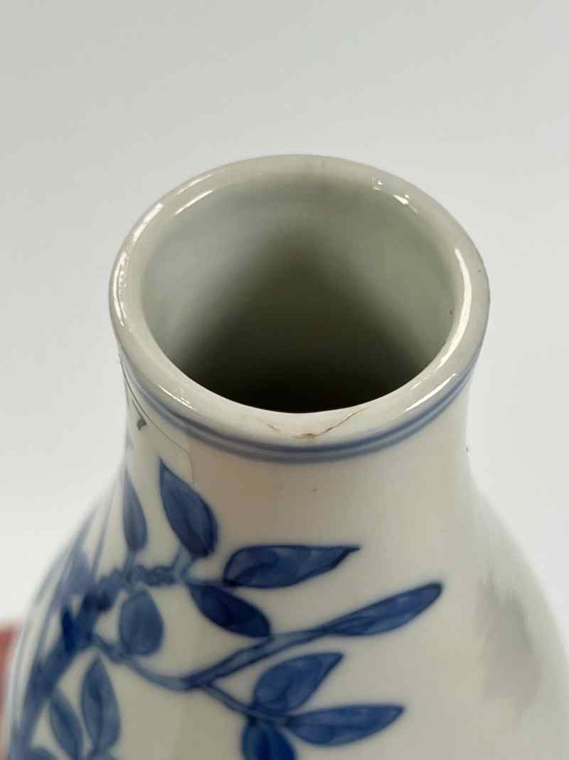 XYA050清光绪  青花蝴蝶花鸟纹葫芦瓶 - 图7