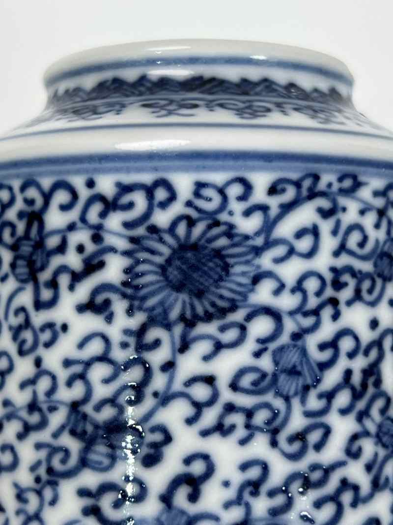 XYA052清雍正  青花花卉纹灯笼瓶 - 图6