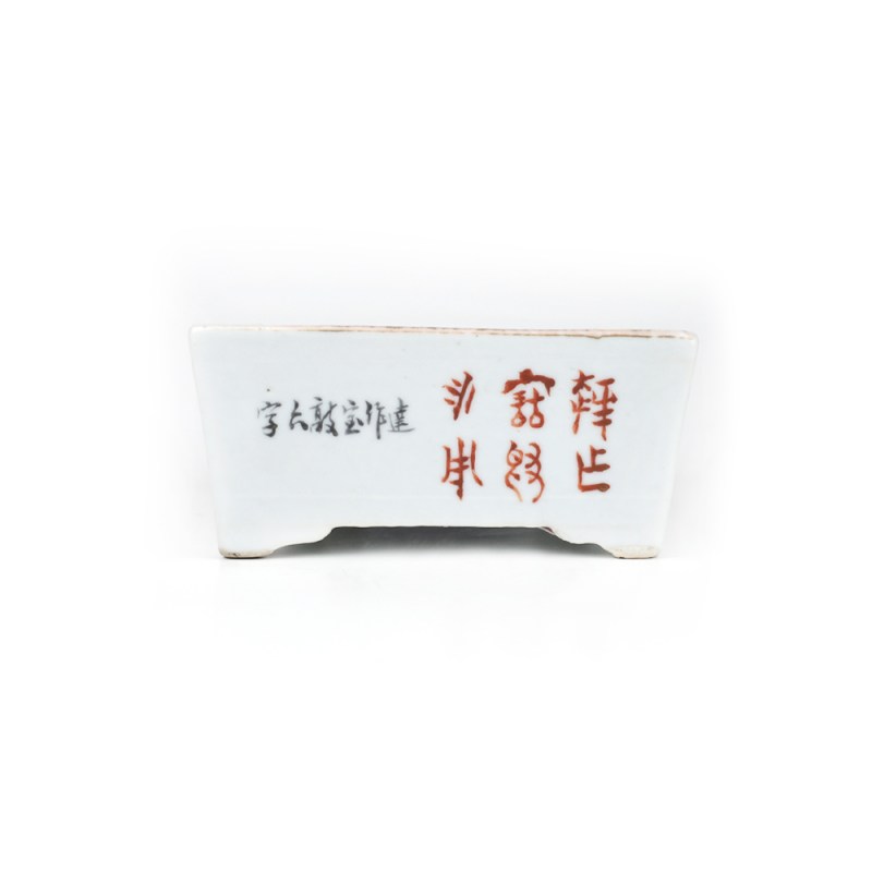 清光绪 张云浅绛彩花鸟纹水仙盆 - 图5