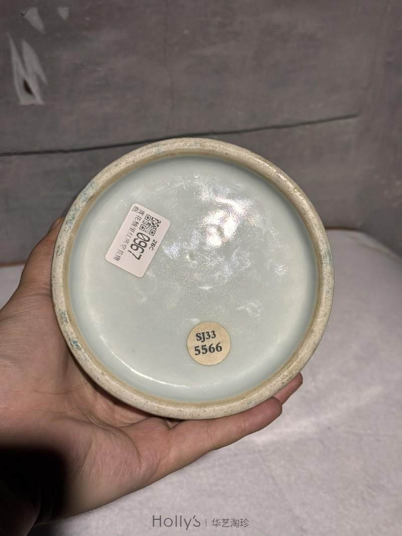 清雍正 青花釉里红凤穿牡丹纹梅瓶 - 图22