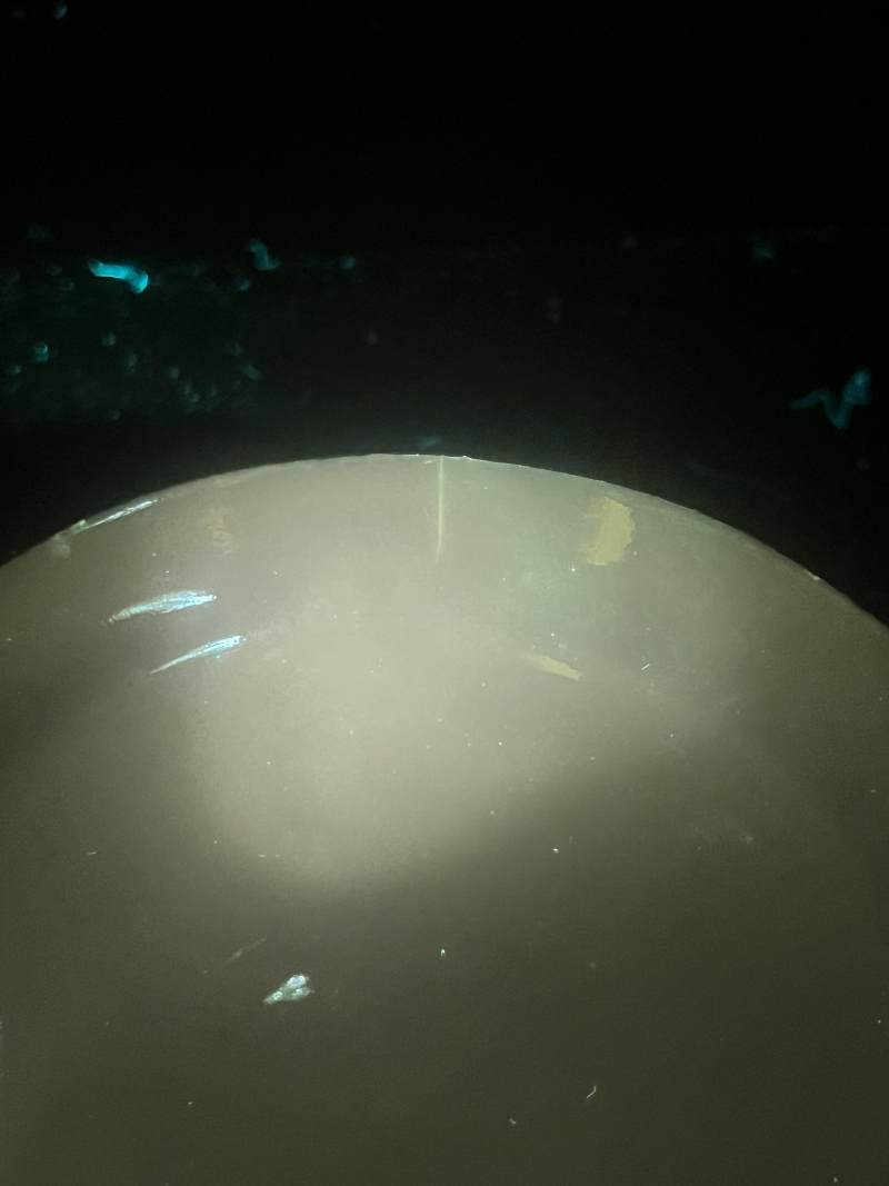 清晚期  青花、青花釉里红、仿钧釉茶碗七件 - 图49