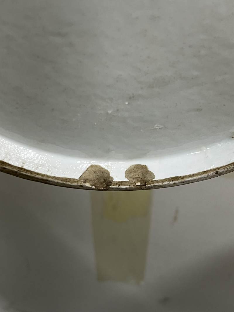 清中期  青花留白缠枝花卉纹大瓶 - 图15