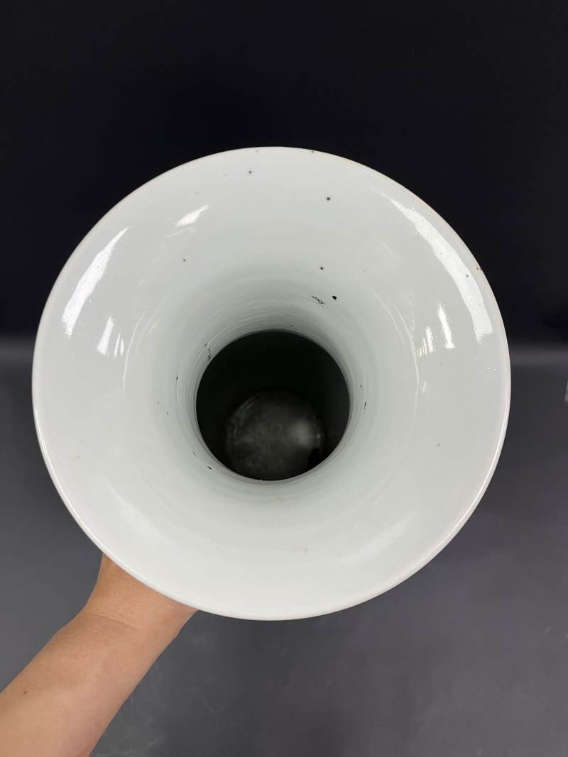 清晚期  粉彩折枝花卉纹狮耳大瓶 - 图6