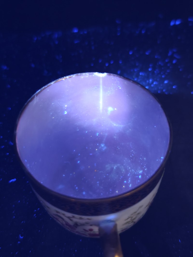 清中期  粉彩十二花神图单鋬杯盏 - 图14