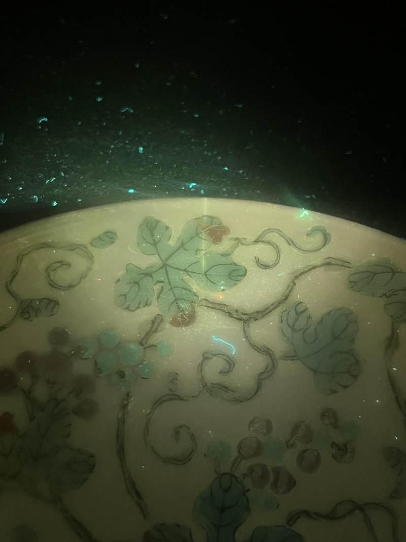清晚期  粉彩葡萄纹盘一对 - 图13