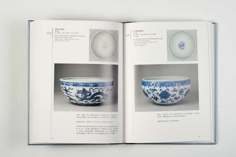 《故宫博物院藏文物珍品大系：青花釉里红(上)》 - 图7