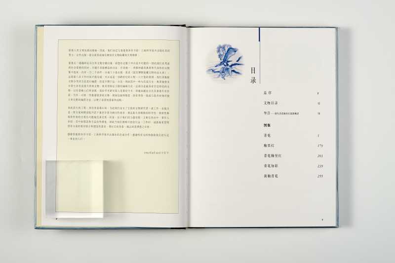 《故宫博物院藏文物珍品大系：青花釉里红(下)》 - 图3