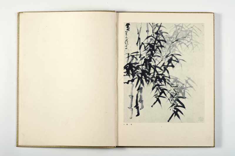 《徐悲鸿彩墨画》 1959一版一印（精装带函套） - 图4