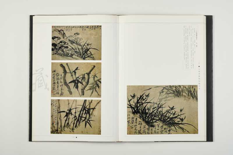《云南省博物馆藏画集》 - 图6
