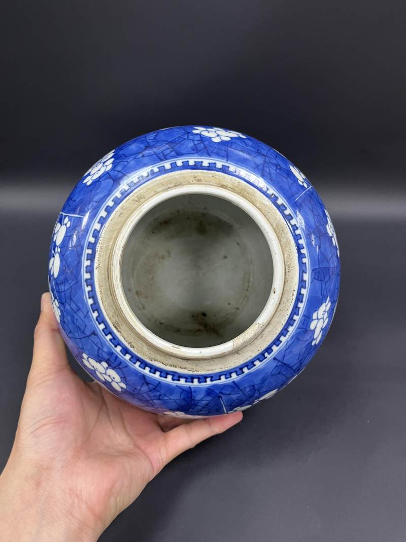 清康熙  青花冰梅纹开光瑞兽纹罐 - 图7