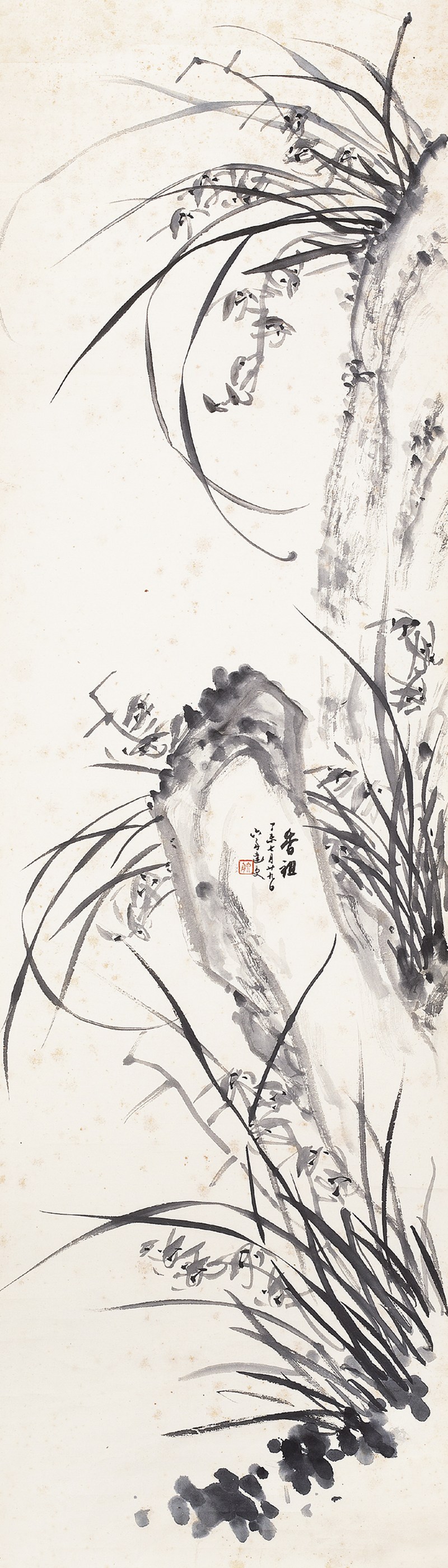 达受  兰石镜片