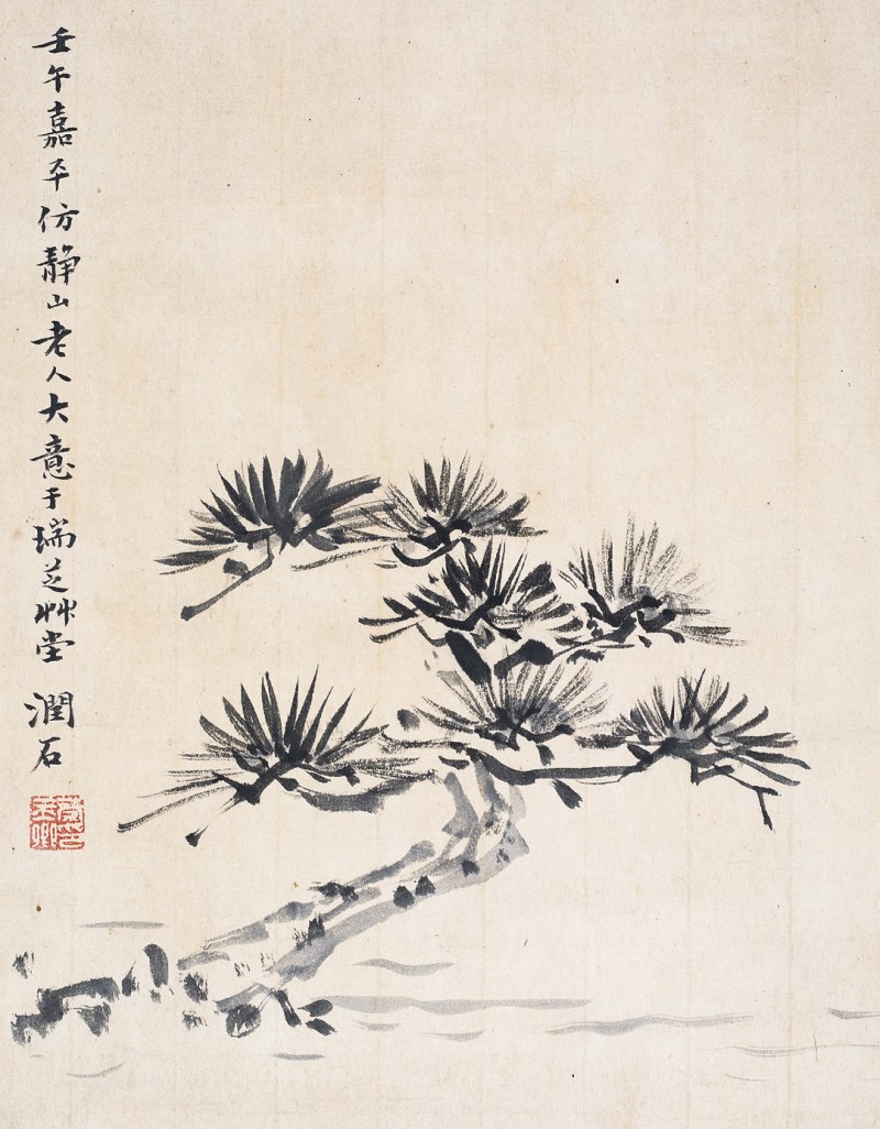 蔡玉卿  松树镜心