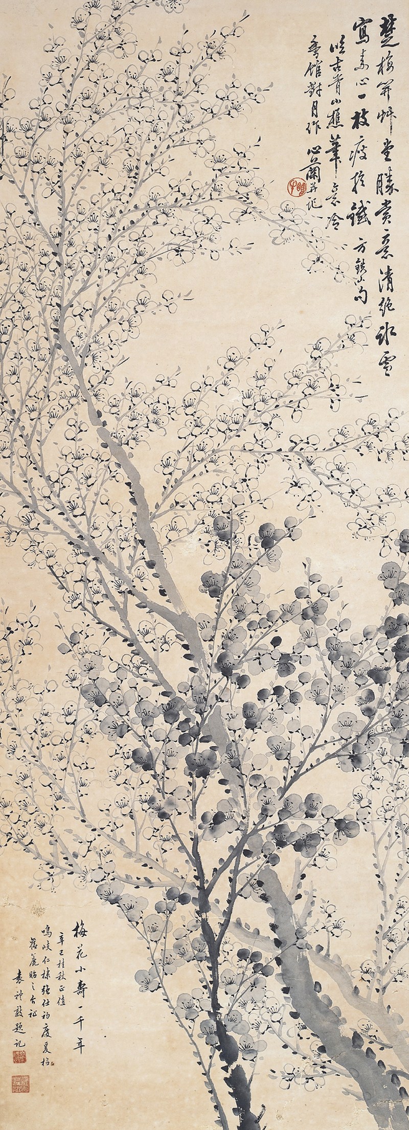 金心兰  梅花立轴