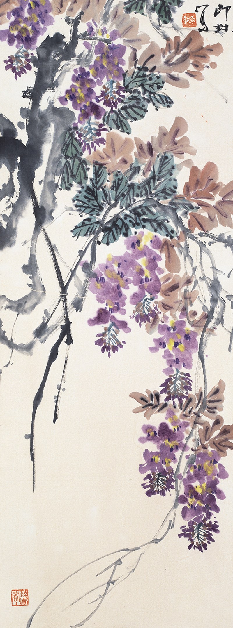 肖朗  紫藤镜心