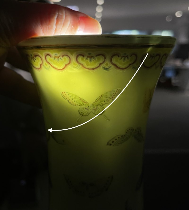 清光绪 粉彩百蝶纹赏瓶 - 图13