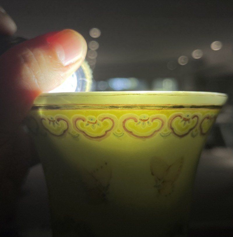 清光绪 粉彩百蝶纹赏瓶 - 图14