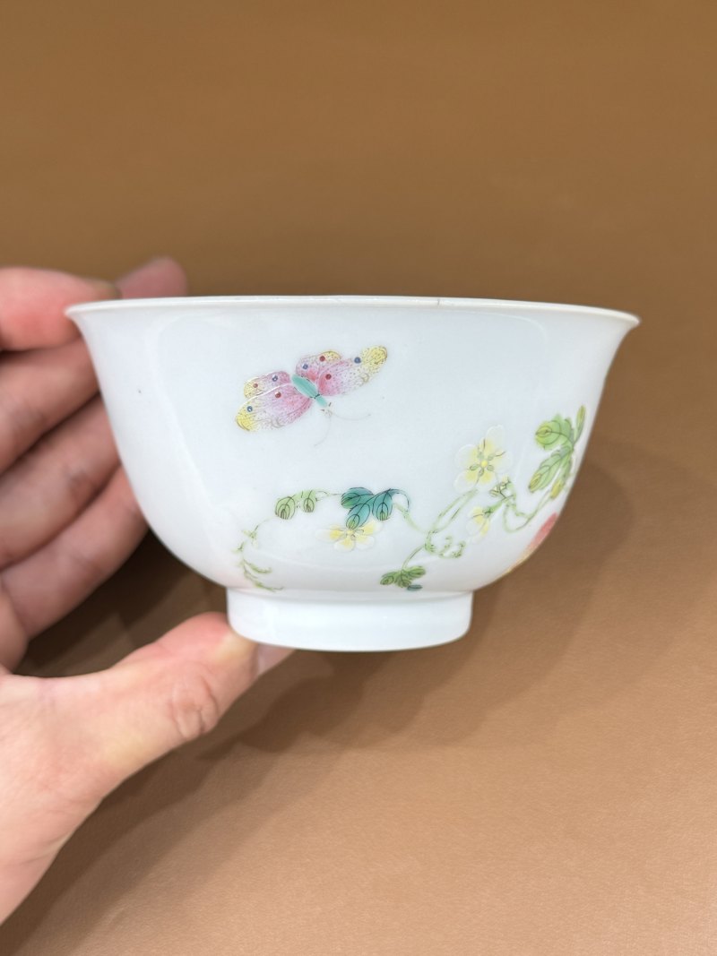 清嘉庆 粉彩过枝癞瓜纹碗 - 图11