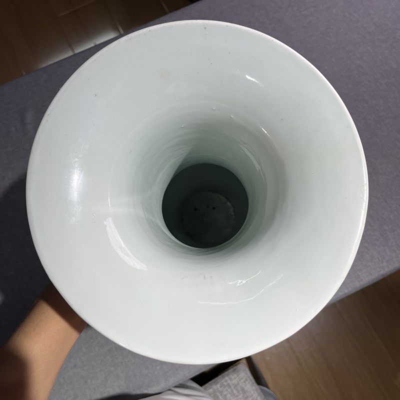 清晚期粉彩锦鸡牡丹凤尾尊 - 图9