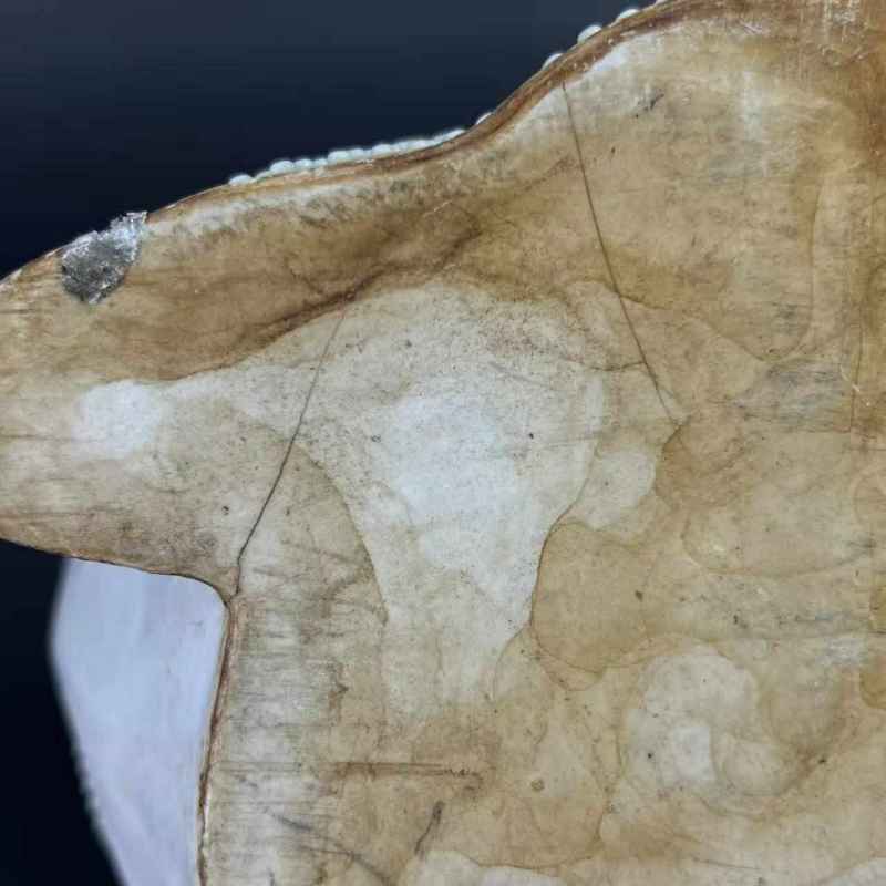 清中期 松石绿釉青蛙形菖蒲盆 - 图7