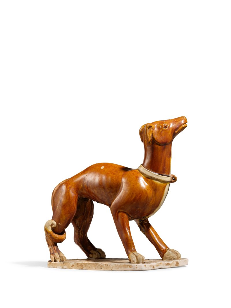 A rare amber-glazed figure of a dog, Tang dynasty | 唐　褐釉犬