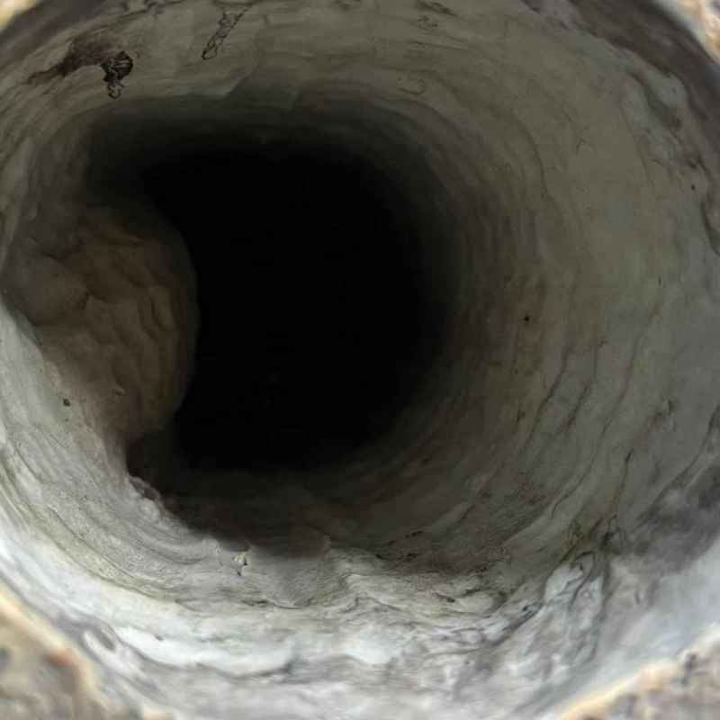 民国 雕瓷松鹤延年纹花插 - 图12