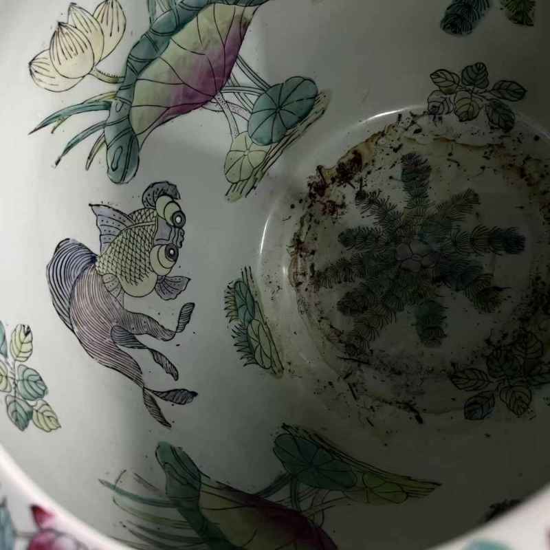 清 粉彩荷塘清趣纹缸 - 图7