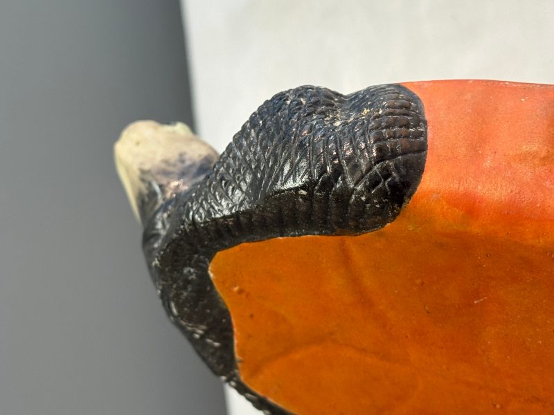 A Chinese polychrome-glazed turtle-shaped tureen and cover - 图28