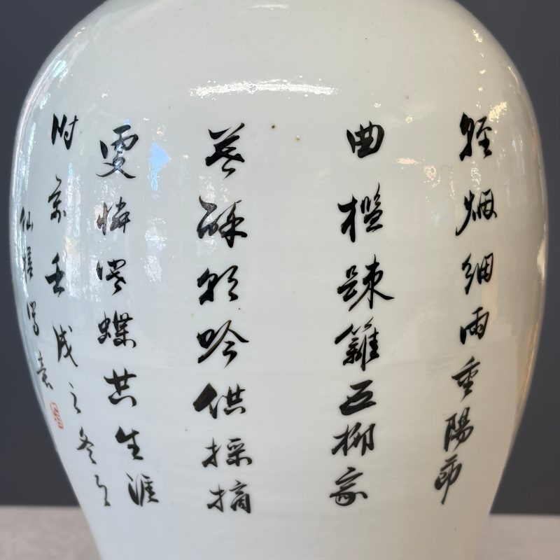 A Chinese famille rose 'Birds Among Flowering Branches' vase - 图18