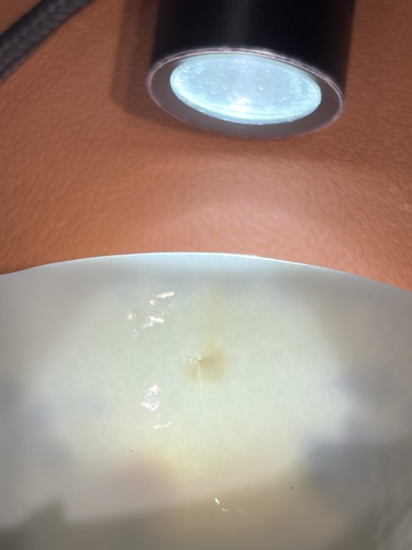 清光绪 青花折枝花卉纹小杯 - 图11
