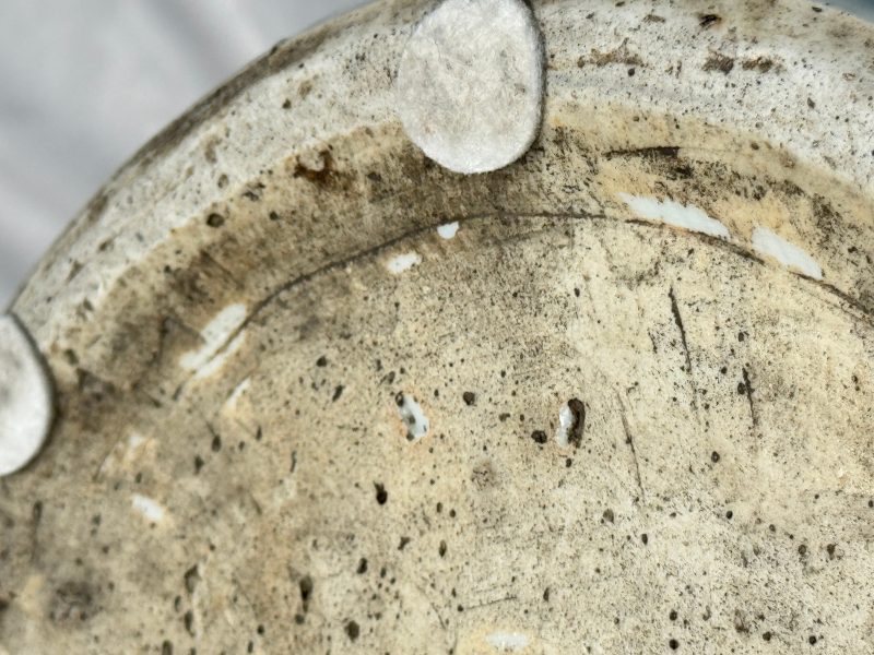 A large Chinese blue and white jar with Buddhist symbols, shells and insects - 图28