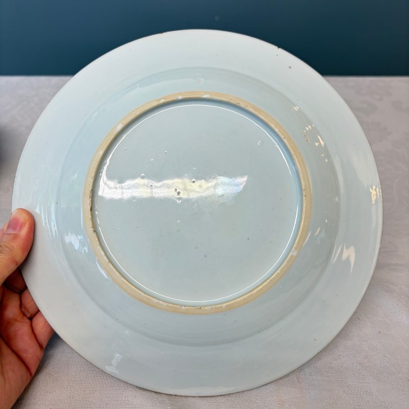 A Chinese famille rose 'Botanical' plate based on designs by the German botanist Maria Sybille Merian - 图9