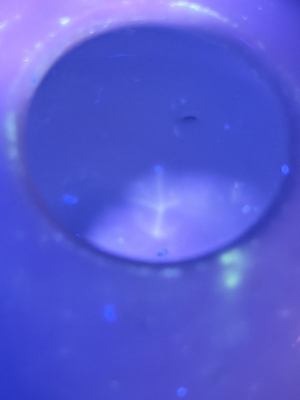 清末民初 粉彩洞石花卉纹水盂 - 图13