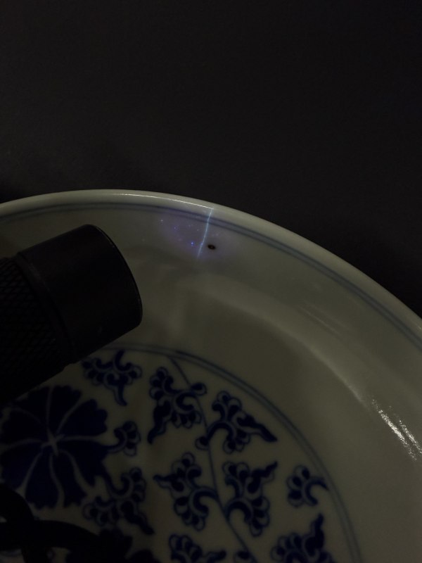 清同治 青花缠枝花卉纹盘 - 图15