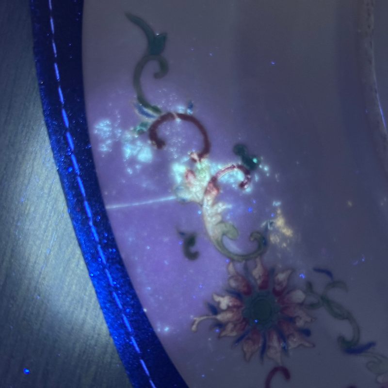 清光绪 矾红墨彩花鸟纹盘 - 图13