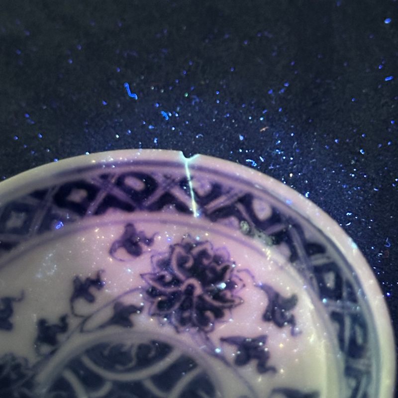 清光绪 青花缠枝莲纹小蝶 - 图8