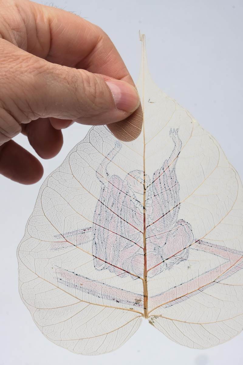 An album of eighteen bodhi leaf paintings - 图5
